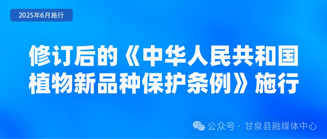 这些新规影响生活_6月起，这些新规将影响你我的生活！_