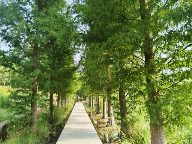 _厌倦父母_因为父母厌学