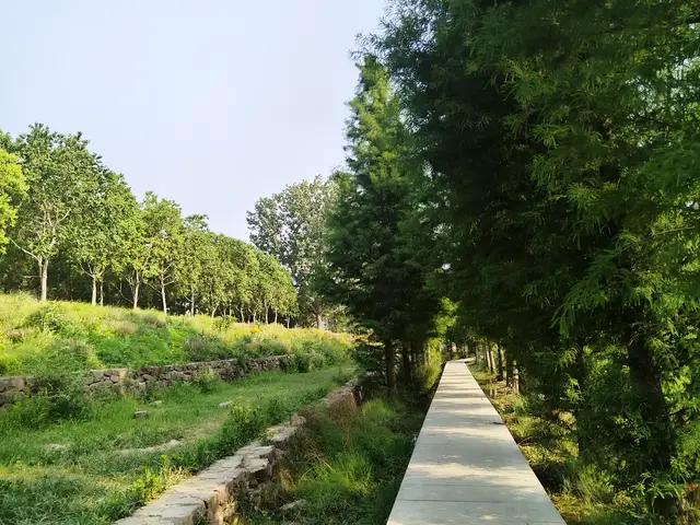 _厌倦父母_因为父母厌学