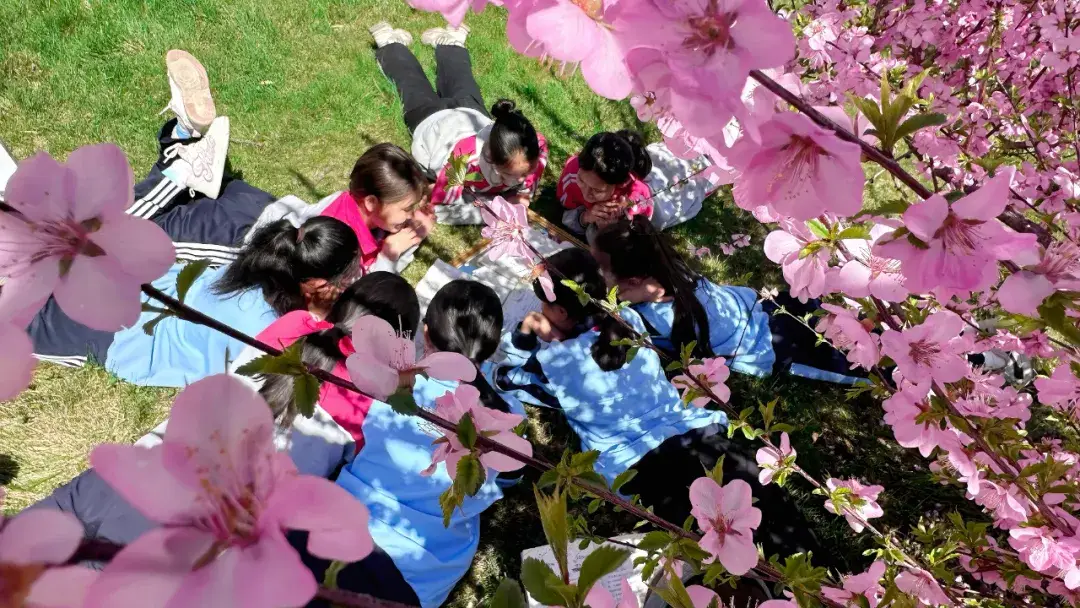 从“有园上”到“上好园”！博州教育筑梦孩子的起点