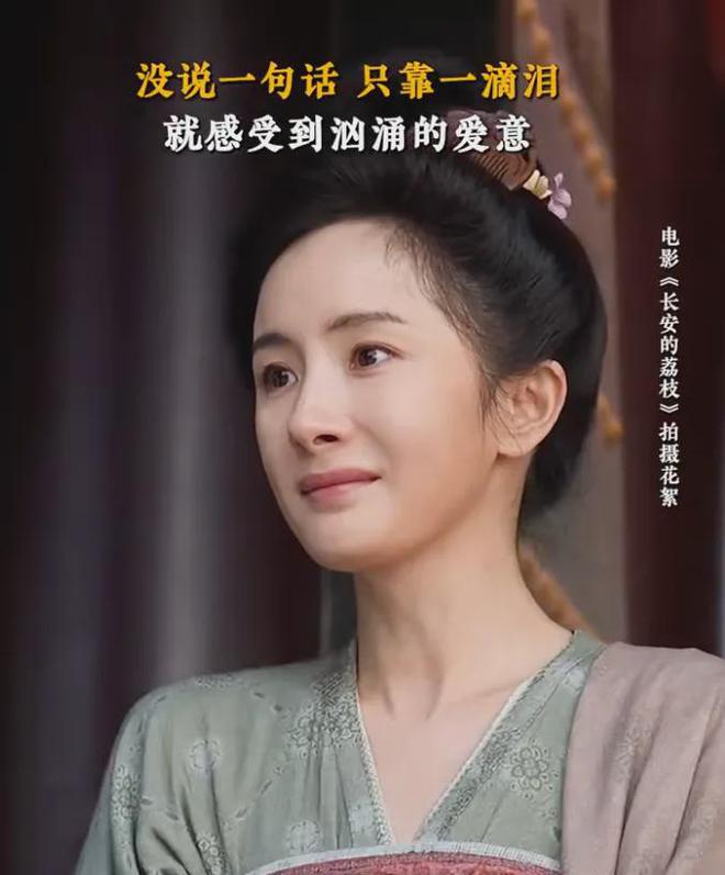 杨幂赵丽颖实绩图对比__杨幂赵丽颖之争
