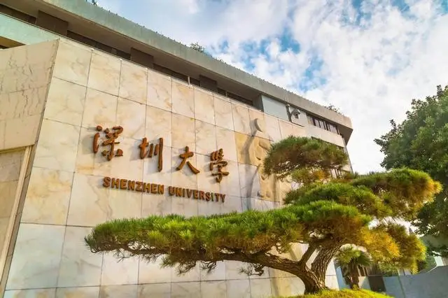 _国内本科转学英国本科_英国本科学术不端
