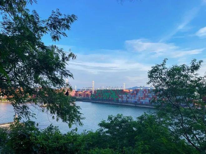 _海玻璃是怎么形成的_花开是片落泪的海txt