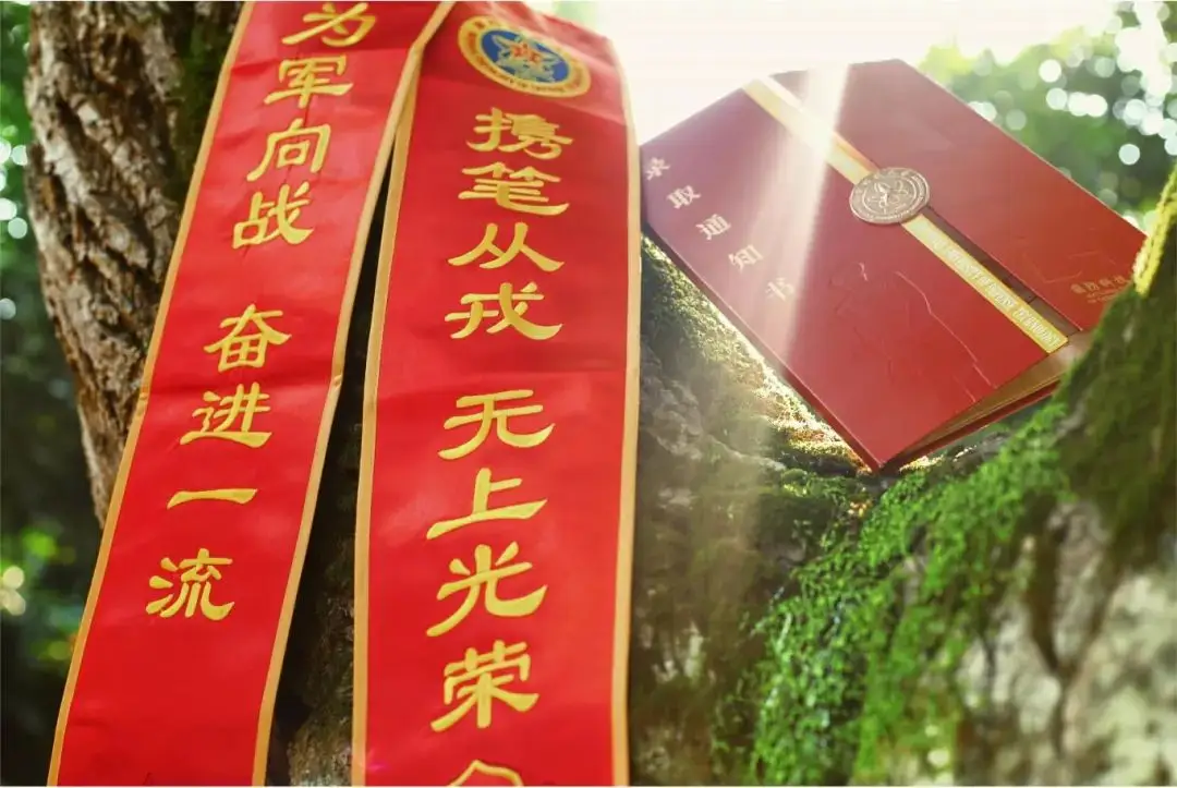 _欲钱去看录取通知书_看录取通知书解什么生肖动物