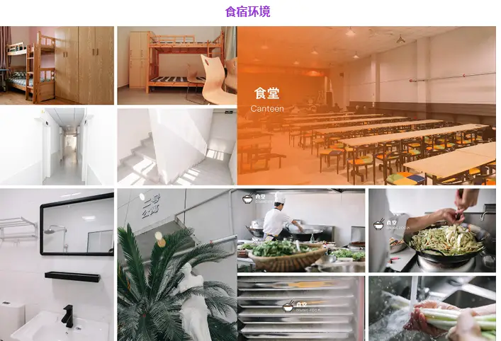 _全国高考培训辅导机构排名_针对高考的培训机构