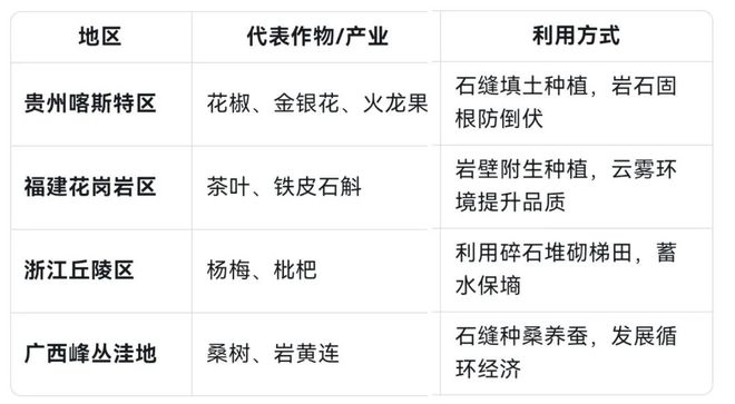 高考地理中的石缝经济_高考地理中的石缝经济_