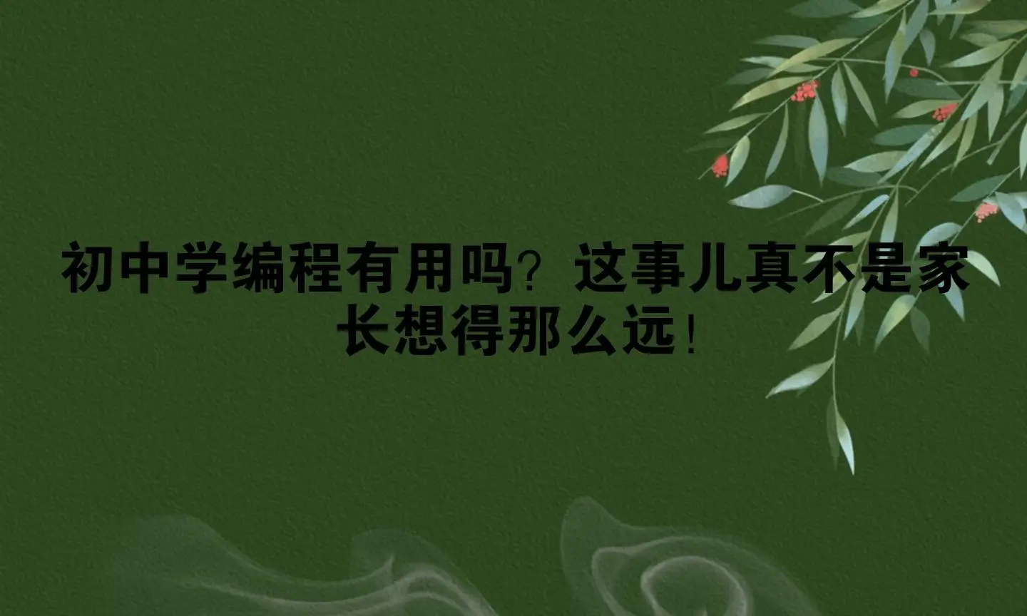 _初中编程注意问题_初中孩子编程学什么