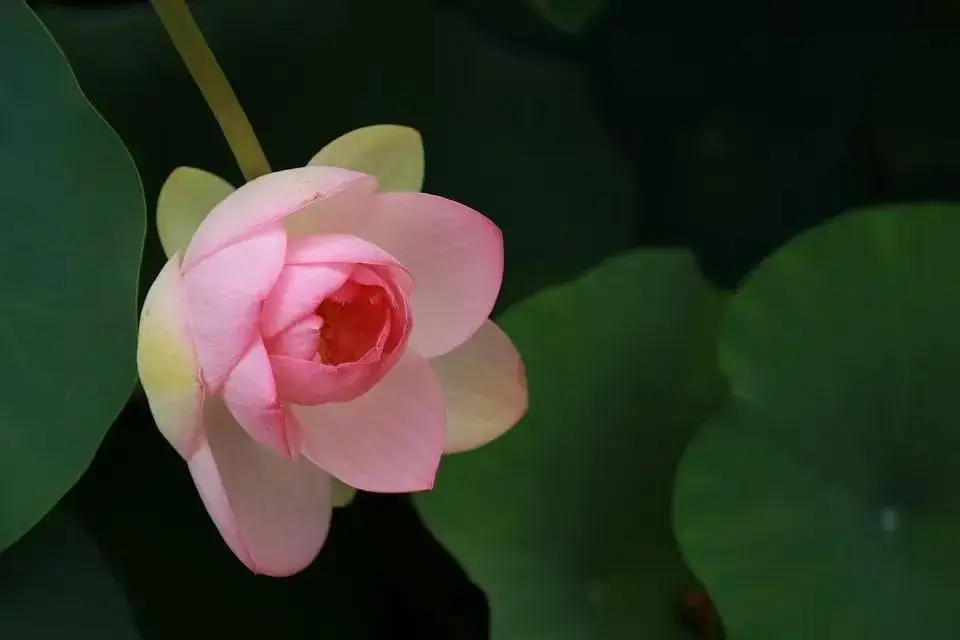 上门女婿想改孩子的姓__招女婿改姓