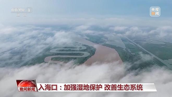 _丨幸福最美丽_女人美丽蜕变诗句