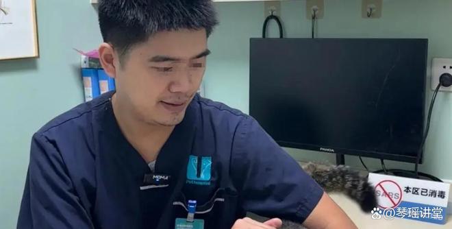 宠物蛇跑出来了怎么找_捡来的蛇后_