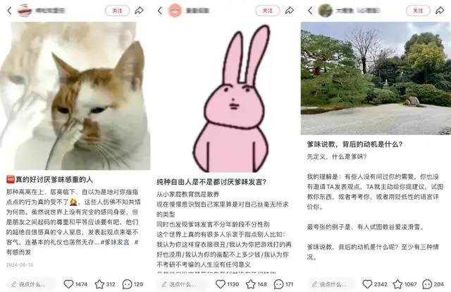 成年人为什莫喜欢美女_年轻人为世界做点什么_