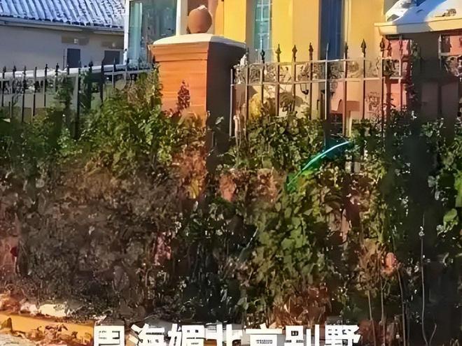 儿女再亲不如钱亲！周海媚去世不到两年，豪宅被挂急售、狗被送人__儿女再亲不如钱亲！周海媚去世不到两年，豪宅被挂急售、狗被送人