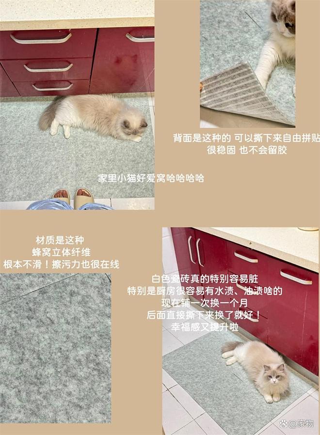 怎么网购东西__网购东西