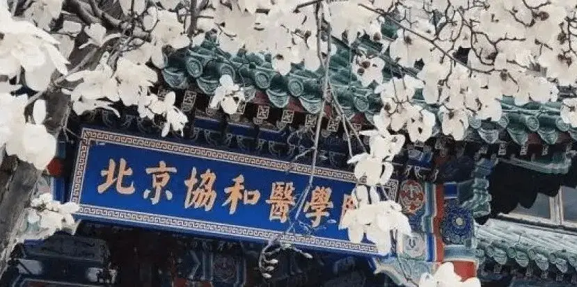 考清华学生__清华录取的学生