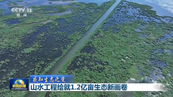 生态绘画简单好看__生态画