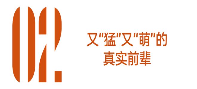 那英组考核视频__那英组第一