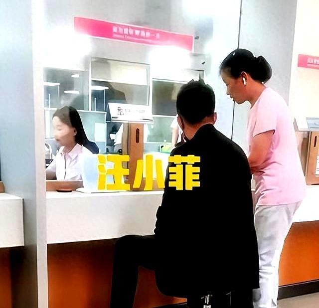 马筱晨吴波照片_马筱宁简历_
