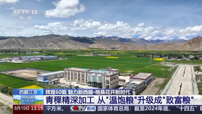 辉煌60载 魅力新西藏丨从高原口粮到多元爆款 看青稞精深加工“变形记”