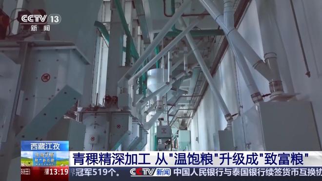 辉煌60载 魅力新西藏丨从高原口粮到多元爆款 看青稞精深加工“变形记”