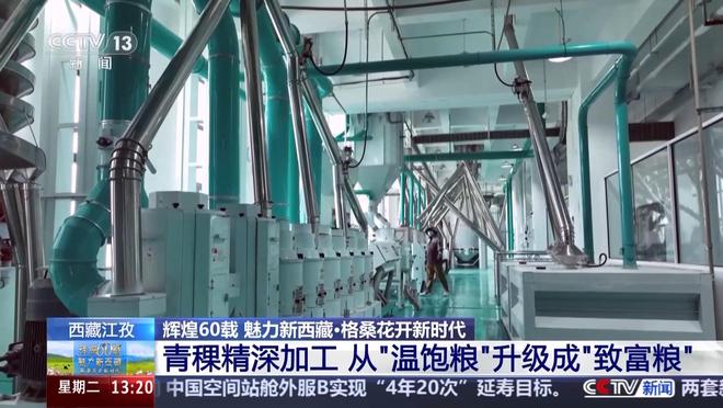 辉煌60载 魅力新西藏丨从高原口粮到多元爆款 看青稞精深加工“变形记”