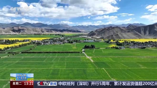辉煌60载 魅力新西藏丨从高原口粮到多元爆款 看青稞精深加工“变形记”