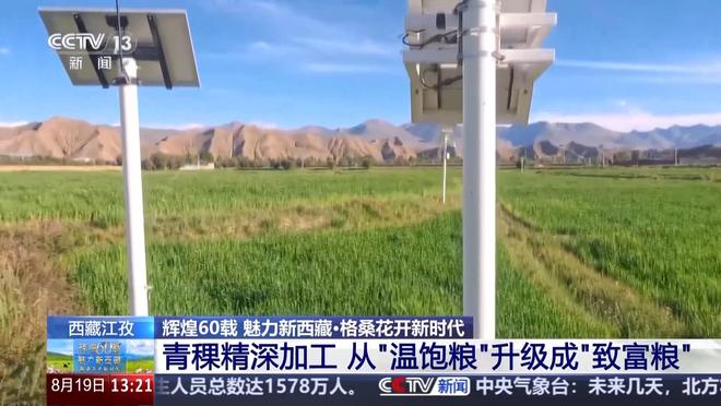 辉煌60载 魅力新西藏丨从高原口粮到多元爆款 看青稞精深加工“变形记”
