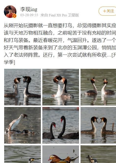猴子长在下巴下面好吗_猴子下巴两个囊袋_
