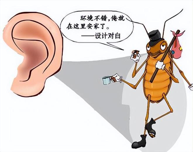 耳朵有蟑螂会跑到大脑里面吗_耳朵如果有蟑螂什么感觉_