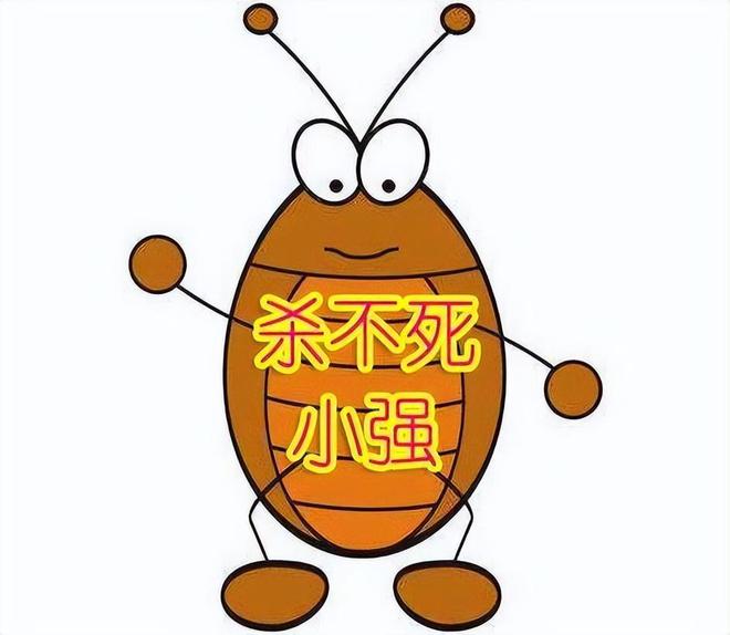 耳朵如果有蟑螂什么感觉_耳朵有蟑螂会跑到大脑里面吗_