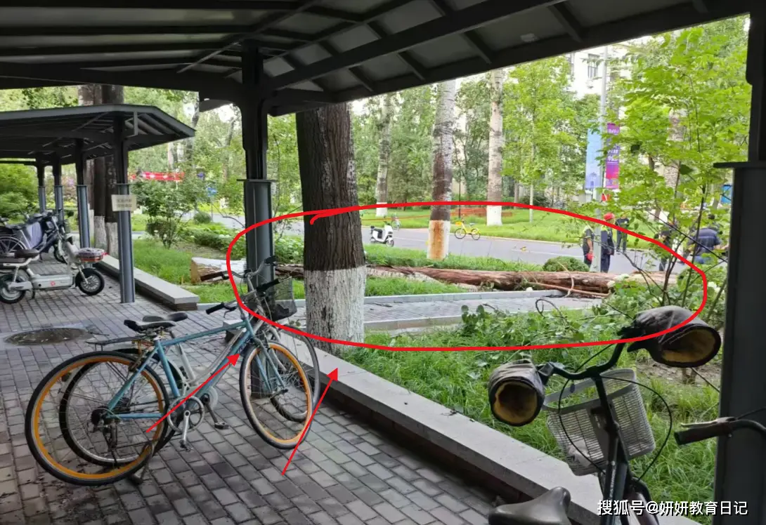 _优雅矜持端庄乖巧_端庄优雅诗句