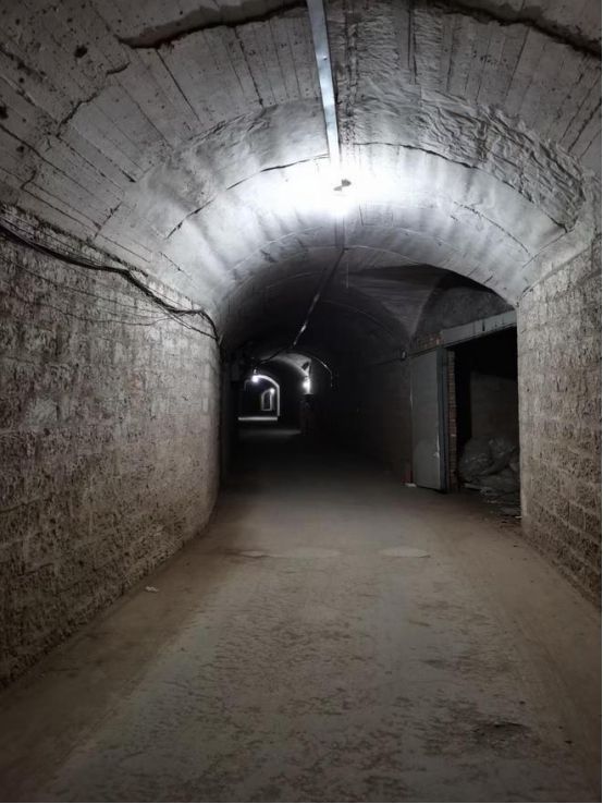 03年重庆男子花40万埋地下防空洞，被邻居嘲笑，19年后邻居傻眼__03年重庆男子花40万埋地下防空洞，被邻居嘲笑，19年后邻居傻眼
