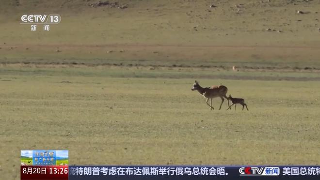 _守护西藏边境_高原守护的警察