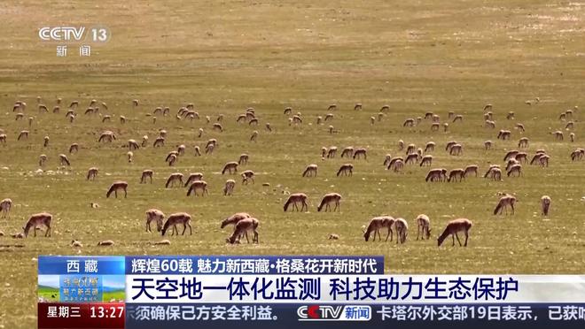 _守护西藏边境_高原守护的警察