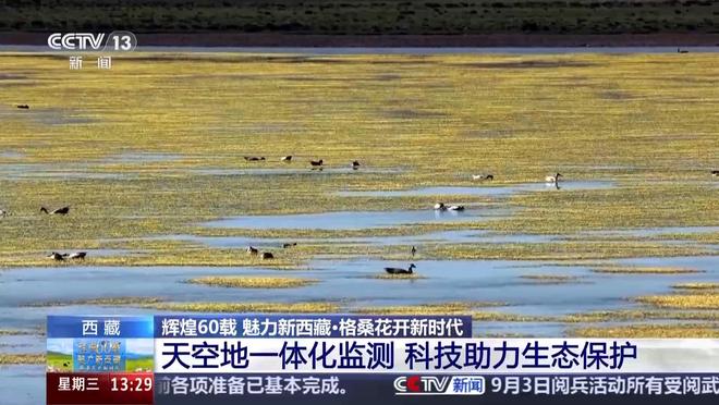 _守护西藏边境_高原守护的警察