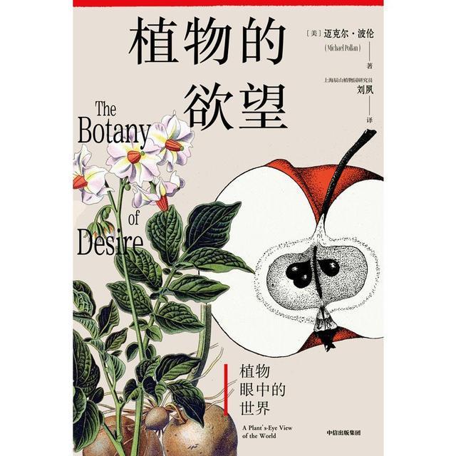 最后推翻秦朝统治的是__工装植物墙家庭园艺