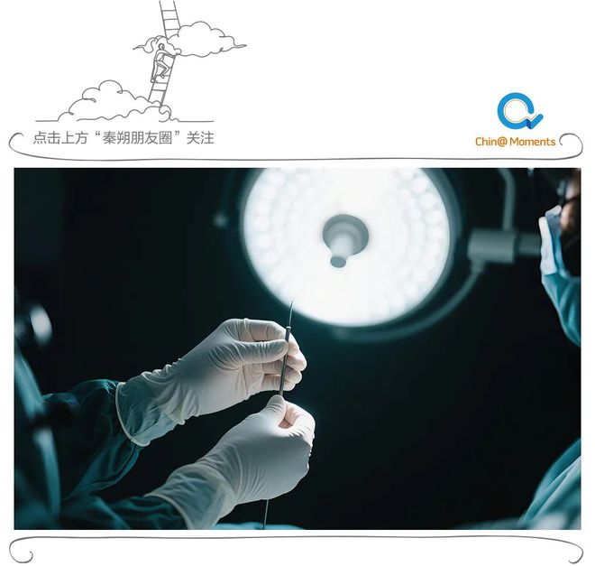 大家痛恨董小姐，为什么要扯上“4+4”模式？