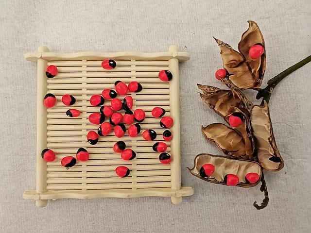 古人表白怎么说的__古人表白最浪漫的诗句锦集