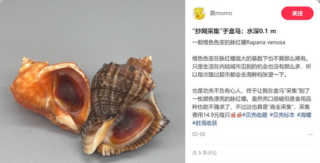 年轻人的新型领养：在超市捡海底小鼻嘎_年轻人的新型领养：在超市捡海底小鼻嘎_