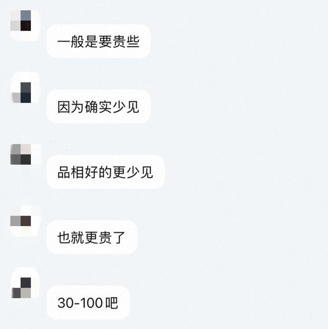 年轻人的新型领养：在超市捡海底小鼻嘎__年轻人的新型领养：在超市捡海底小鼻嘎