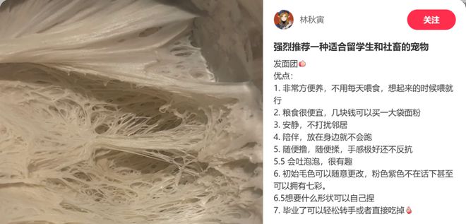 年轻人的新型领养：在超市捡海底小鼻嘎_年轻人的新型领养：在超市捡海底小鼻嘎_