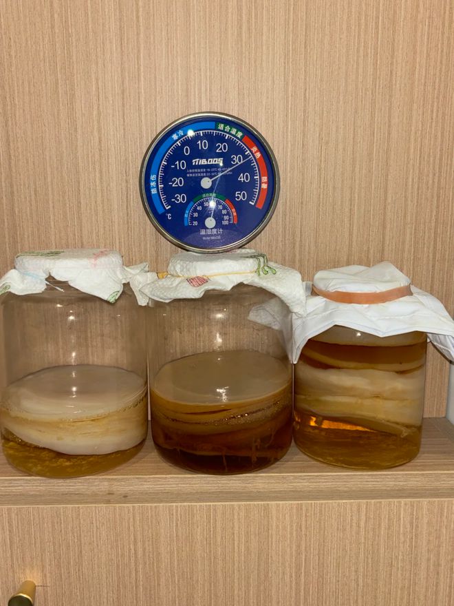 _年轻人的新型领养：在超市捡海底小鼻嘎_年轻人的新型领养：在超市捡海底小鼻嘎