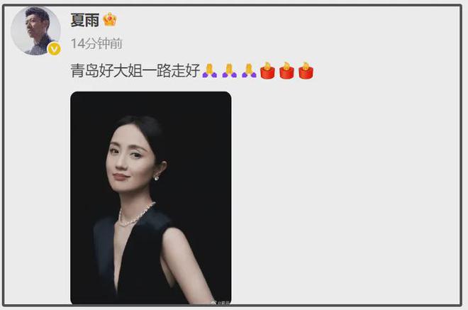 姚晨和马伊利主演的电影__姚晨和马伊琍的电影叫什么
