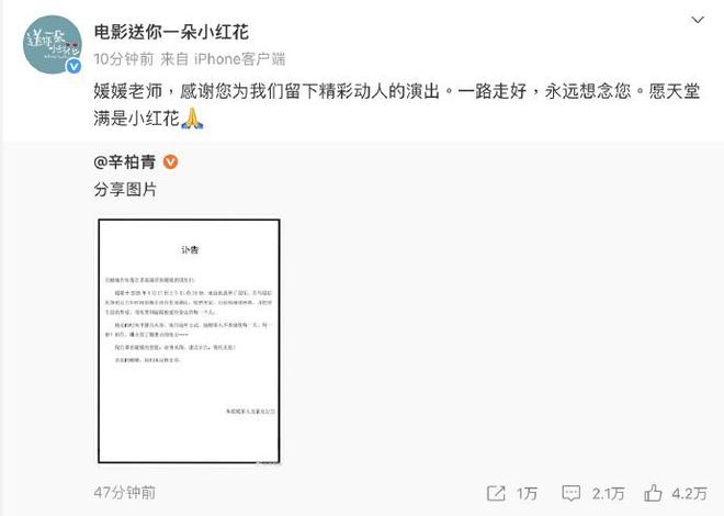 姚晨和马伊琍的电影叫什么_姚晨和马伊利主演的电影_