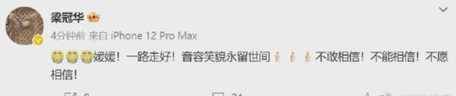 姚晨和马伊琍的电影叫什么_姚晨和马伊利主演的电影_