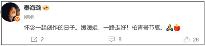 _姚晨和马伊琍的电影叫什么_姚晨和马伊利主演的电影