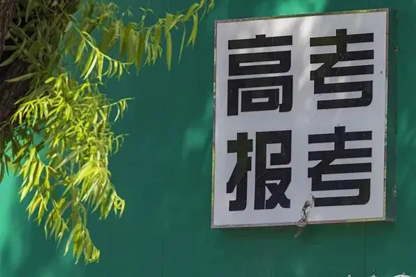 赢家剧情_张雪峰是研究生吗_