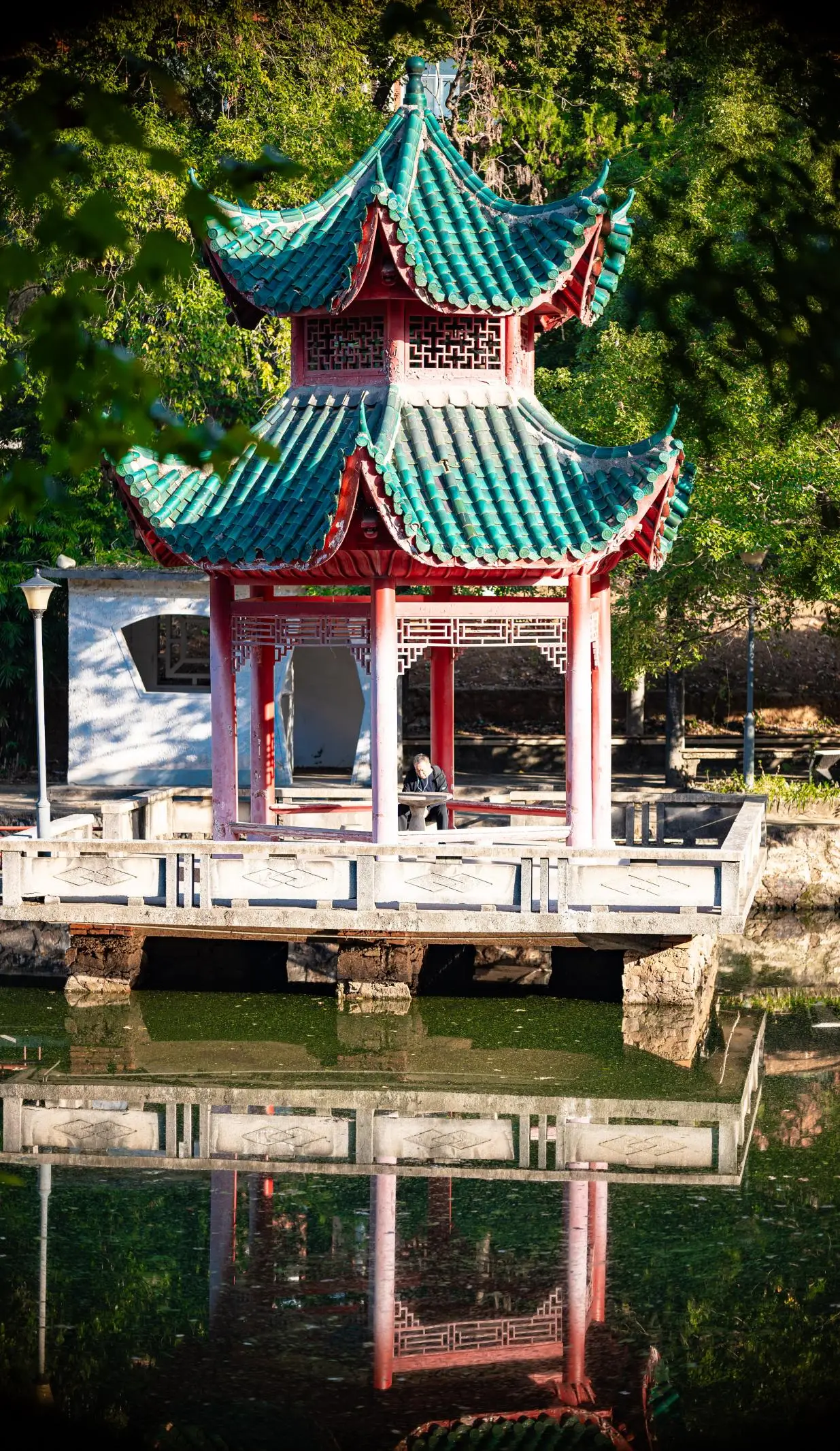 _范式守信中具的意思_中南力行科技有限公司