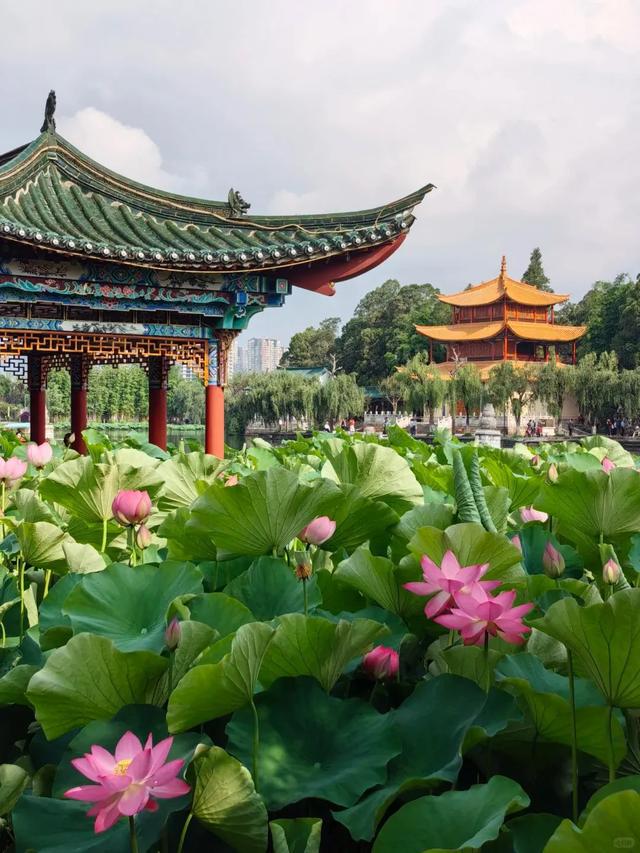考后空档期怎么玩？来昆明呀~__考后空档期怎么玩？来昆明呀~