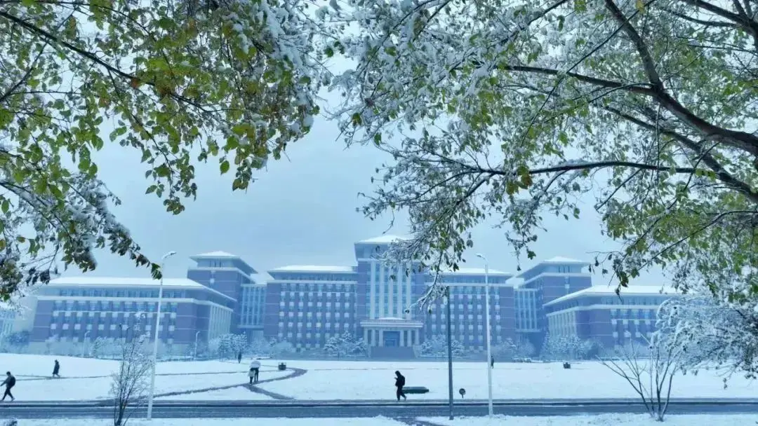 _清华大学面积有多大面积_清华大学面积排行榜