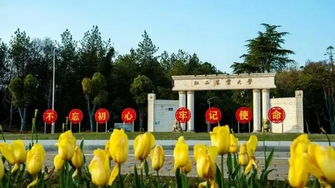 清华大学面积有多大面积_清华大学面积排行榜_